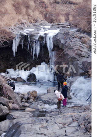 冬天的死亡長頸鹿 10181868
