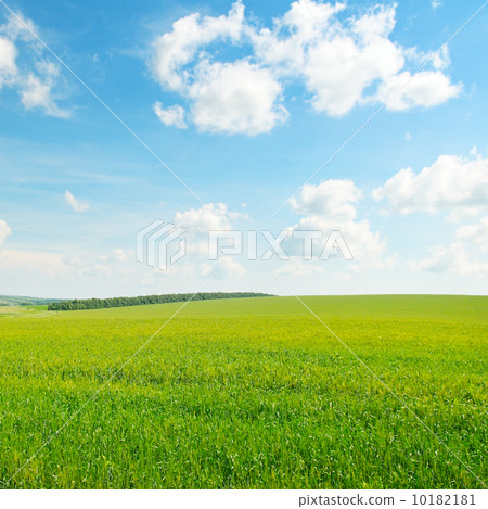 green field and blue cloudy sky 10182181