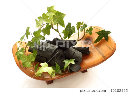 Bincho charcoal and ornamental plants Bincho charcoal and ornamental plants 10182325