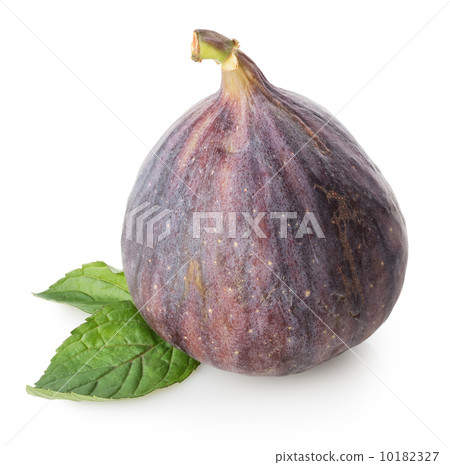 Figs with green leaf Figs with green leaf 10182327