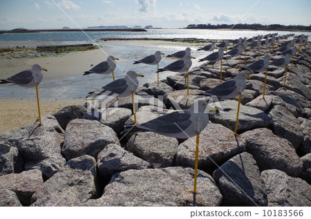 Objects of Sakujima's Seagull 10183566