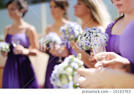 Row of bridesmaids with bouquets 10183763