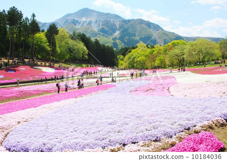 Riyama公園（Shiba和Mt.山） 10184036