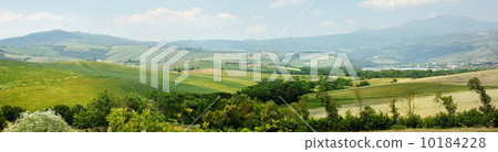 Picturesque Tuscany landscape 10184228