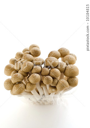 離褶傘 離褶傘 10184815