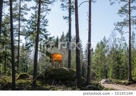 Hunting tower in rocky forest Hunting tower in rocky forest 10185194
