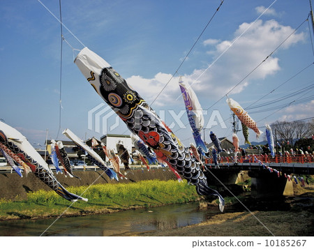 鯉魚旗 鯉魚旗 10185267