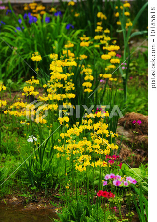 Nine-wheeled grass 10185618