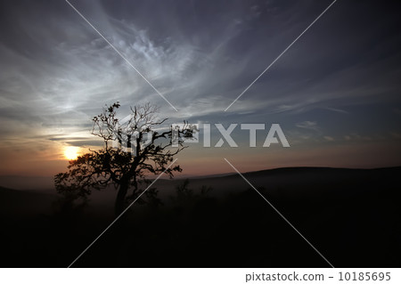 北海道Tomurashi山日落 北海道Tomurashi山日落 10185695