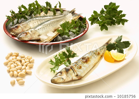 Sardine bushy sole (white background) 10185756