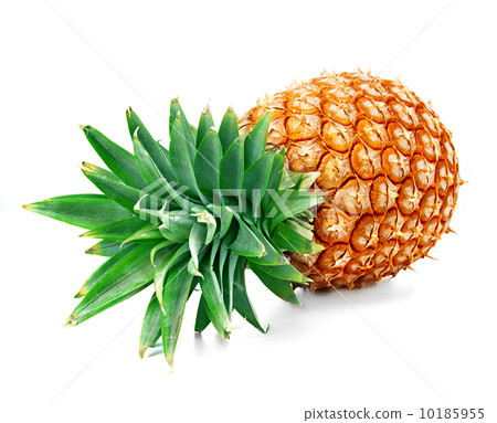 pineapple pineapple 10185955