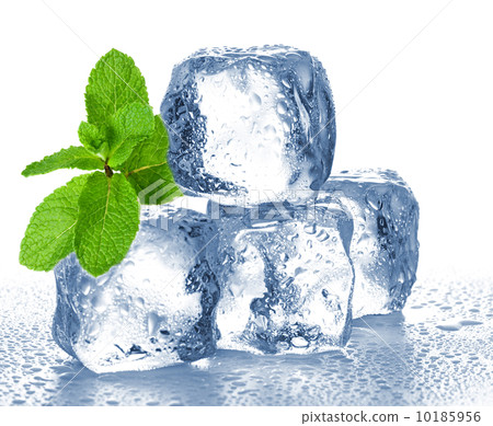ice cubes and mint 10185956