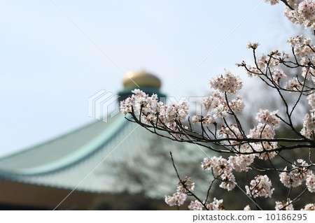 日本風景 日本風景 10186295