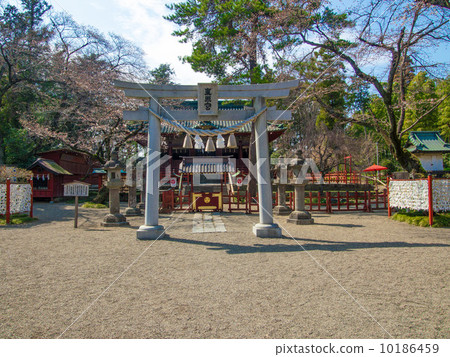 修羅東照宮 修羅東照宮 10186459