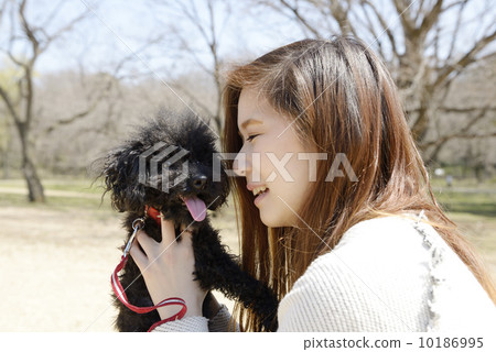 A young couple playing with a dog A young couple playing with a dog 10186995