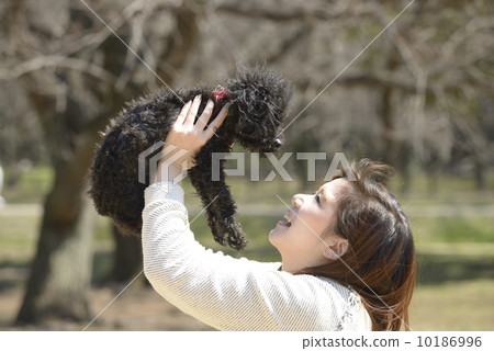 A young couple playing with a dog A young couple playing with a dog 10186996