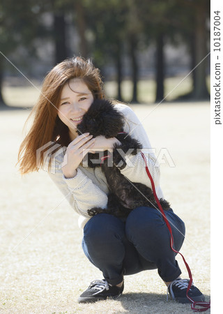 A young couple playing with a dog A young couple playing with a dog 10187004