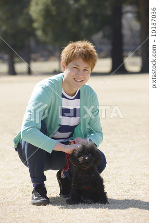 A young couple playing with a dog A young couple playing with a dog 10187036