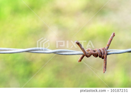 Close up of a rusty old barb wire. 10187231