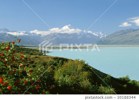 庫克山從Pakaki湖 10188344