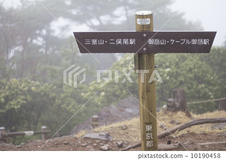 指南 指南 10190458