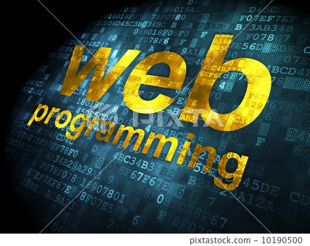 SEO web development concept: Web Programming on digital backgrou 10190500