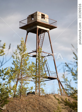 The thrown watchtower in a wood 10190916
