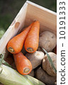Carrots potatoes onion vegetables 10191333