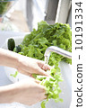 Salad wash 10191334