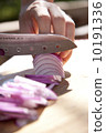 Cut cutting onion 10191336