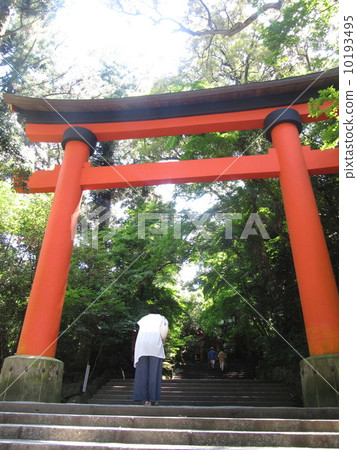  Summer of Usa Shrine 10193495