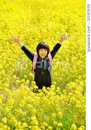 在強姦領域去Banzai的一個新的新生女孩 在強姦領域去Banzai的一個新的新生女孩 10193938