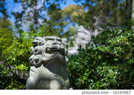 Guardian dog 10193967