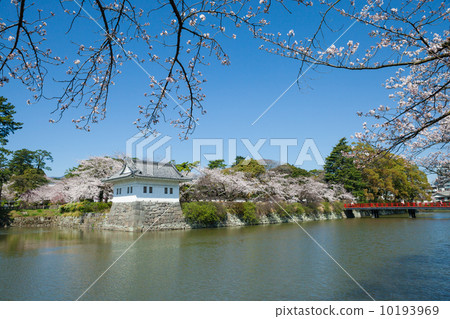Spring Odawara Castle Ninomaru corner oar Spring Odawara Castle Ninomaru corner oar 10193969