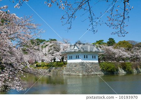Spring Odawara Castle Ninomaru corner oar 10193970