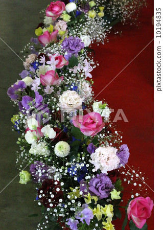 表花 表花 10194835