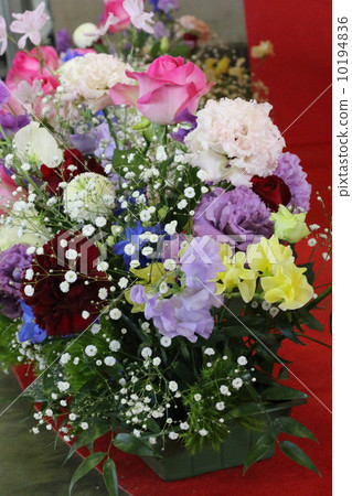 表花 表花 10194836
