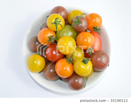 Mini Tomato 10196522