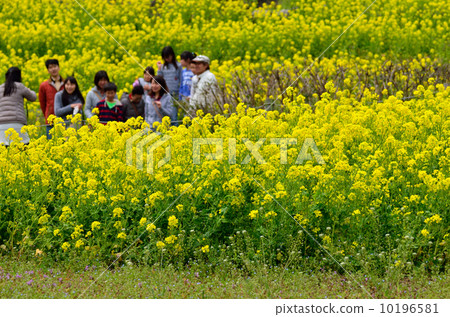 強姦開花 10196581
