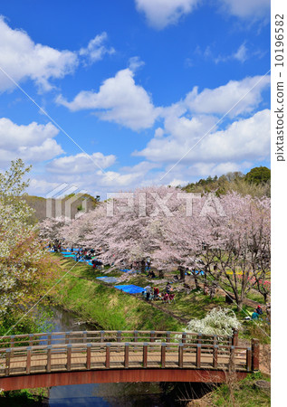 Fountain forest Fountain forest 10196582