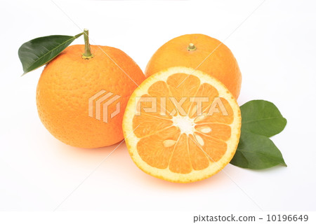 Sweet summer 10196649