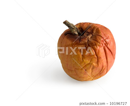 Rotten apple Rotten apple 10196727