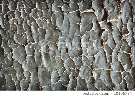 Disgusting damaged wall with craquelure Disgusting damaged wall with craquelure 10196754