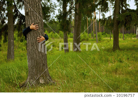 Man hugging big tree in forest 10196757