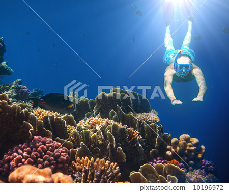 Snorkel Snorkel 10196972