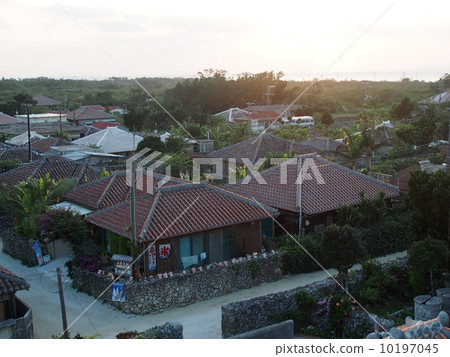 Nagomi Tower 10197045