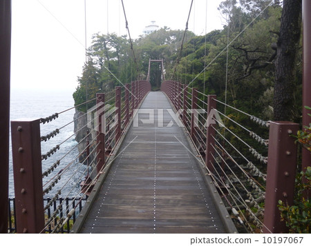 在Jogasaki海岸的吊橋 10197067