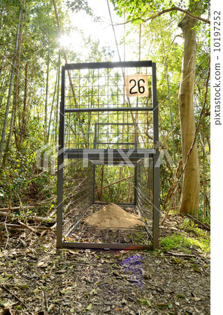 Captive cage 10197252