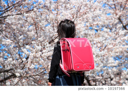 看櫻花的新年新人 10197366