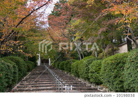Shogun Shrine Shogun Shrine 10198038